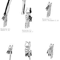 http://www.oandplibrary.org/al/images/1966_01_024/sp66c-005.jpg