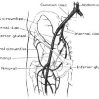 http://www.oandplibrary.org/al/images/1957_02_004/aut57a-003.jpg