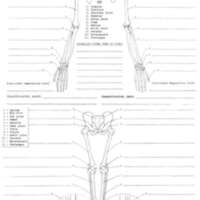 http://www.oandplibrary.org/al/images/1966_01_024/sp66c-009.jpg