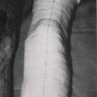 http://www.oandplibrary.org/al/images/1969_01_001/spring69-05.jpg
