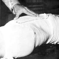 http://www.oandplibrary.org/al/images/1964_01_003/1964_01_003-11.jpg