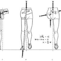 http://www.oandplibrary.org/al/images/1957_02_029/aut57c-009.jpg