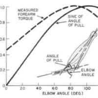http://www.oandplibrary.org/al/images/1955_03_004/tmp482-15.jpg