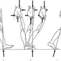 http://www.oandplibrary.org/al/images/1957_02_029/aut57c-010.jpg