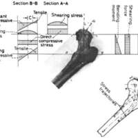 http://www.oandplibrary.org/al/images/1969_01_037/spring69-36.jpg