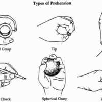 http://www.oandplibrary.org/cpo/images/1986_02_057/1986_02_057-05.jpg