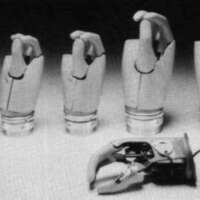 http://www.oandplibrary.org/cpo/images/1986_02_066/1986_02_066-05.jpg