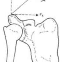 http://www.oandplibrary.org/al/images/1955_03_004/tmp482-13.jpg