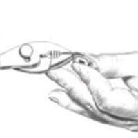 http://www.oandplibrary.org/al/images/1955_03_026/tmp48A-16.jpg