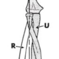 http://www.oandplibrary.org/al/images/1955_02_022/1955-MayOCRBatch-18.jpg