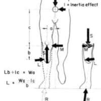 http://www.oandplibrary.org/al/images/1962_02_016/tmp624-3.jpg