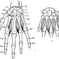 http://www.oandplibrary.org/al/images/1955_02_022/1955-MayOCRBatch-13.jpg