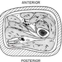 http://www.oandplibrary.org/al/images/1957_01_041/1957-Spring-42.jpg