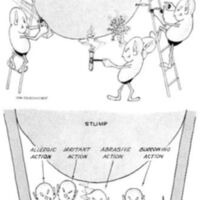http://www.oandplibrary.org/al/images/1956_01_004/spring56-01.jpg