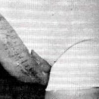 http://www.oandplibrary.org/al/images/1967_01_001/1967_01_001-06.jpg