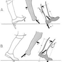 http://www.oandplibrary.org/al/images/1961_01_076/d004.jpg