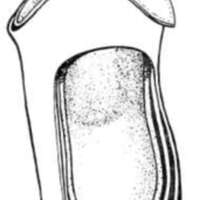 http://www.oandplibrary.org/al/images/1962_02_004/tmp623-16.jpg